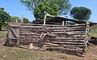 livestock-farming